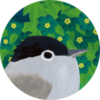 Eurasian Blackcap