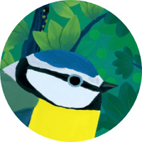 Eurasian Blue Tit