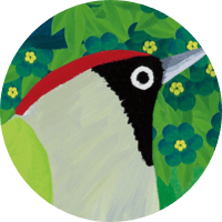 Eurasian Green Woodpecker