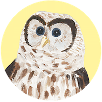 Barred Owl