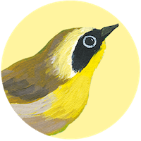 Common Yellowthroat