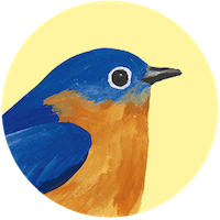 Eastern Bluebird