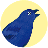 Passerin indigo