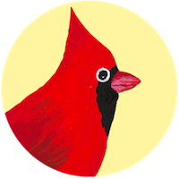 Northern Cardinal