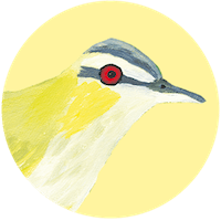 Vireo de ojos rojos