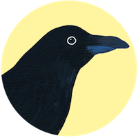 Common Raven