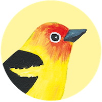 Western Tanager