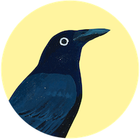 Corneille noire