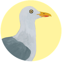 Goéland argenté
