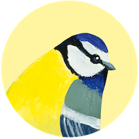 Mésange bleue