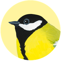 Mésange charbonnière