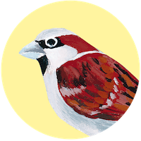 Moineau domestique