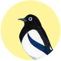 Pie bavarde