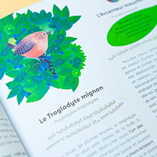 The book “Ecoute les oiseaux” - Birdie Memory